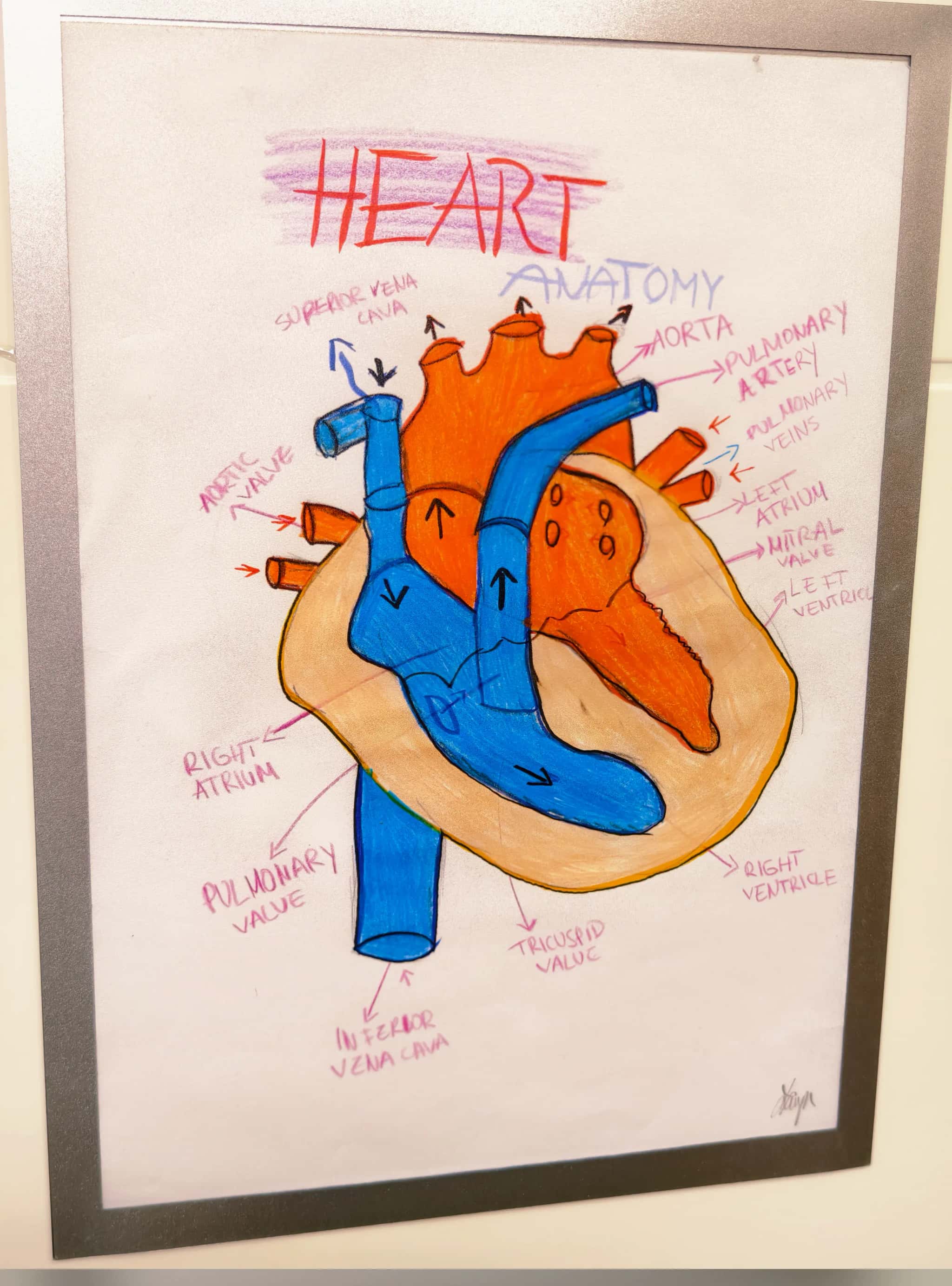 Praxis Am Salzmarkt – Sprechzimmer 1 – Sprechzimmer für Patientengespräche – Foto 11 von 29 – Osnabrück