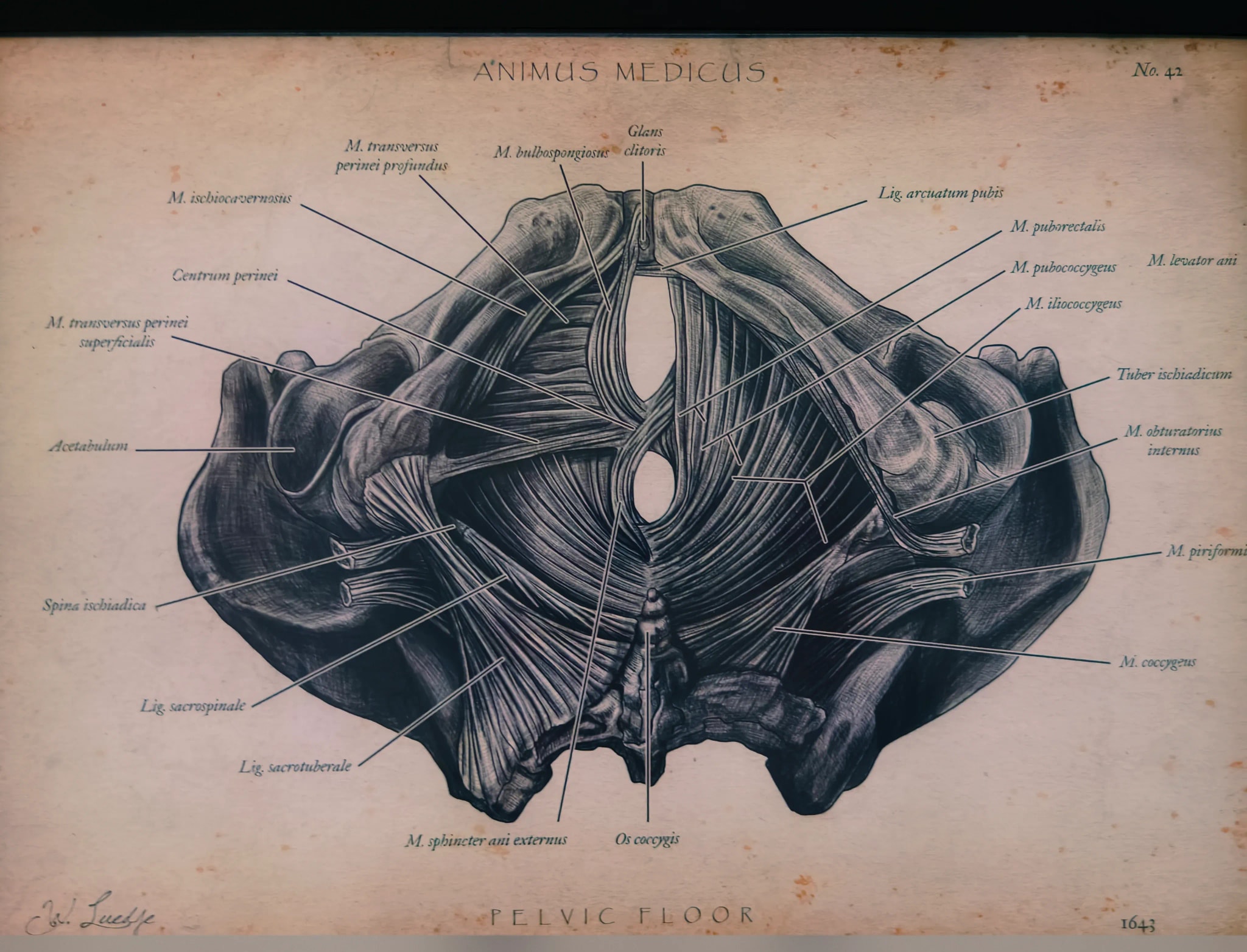 Praxis Am Salzmarkt – Allgemeine Eindrücke – Allgemeine Eindrücke der Arztpraxis – Foto 2 von 15 – Osnabrück