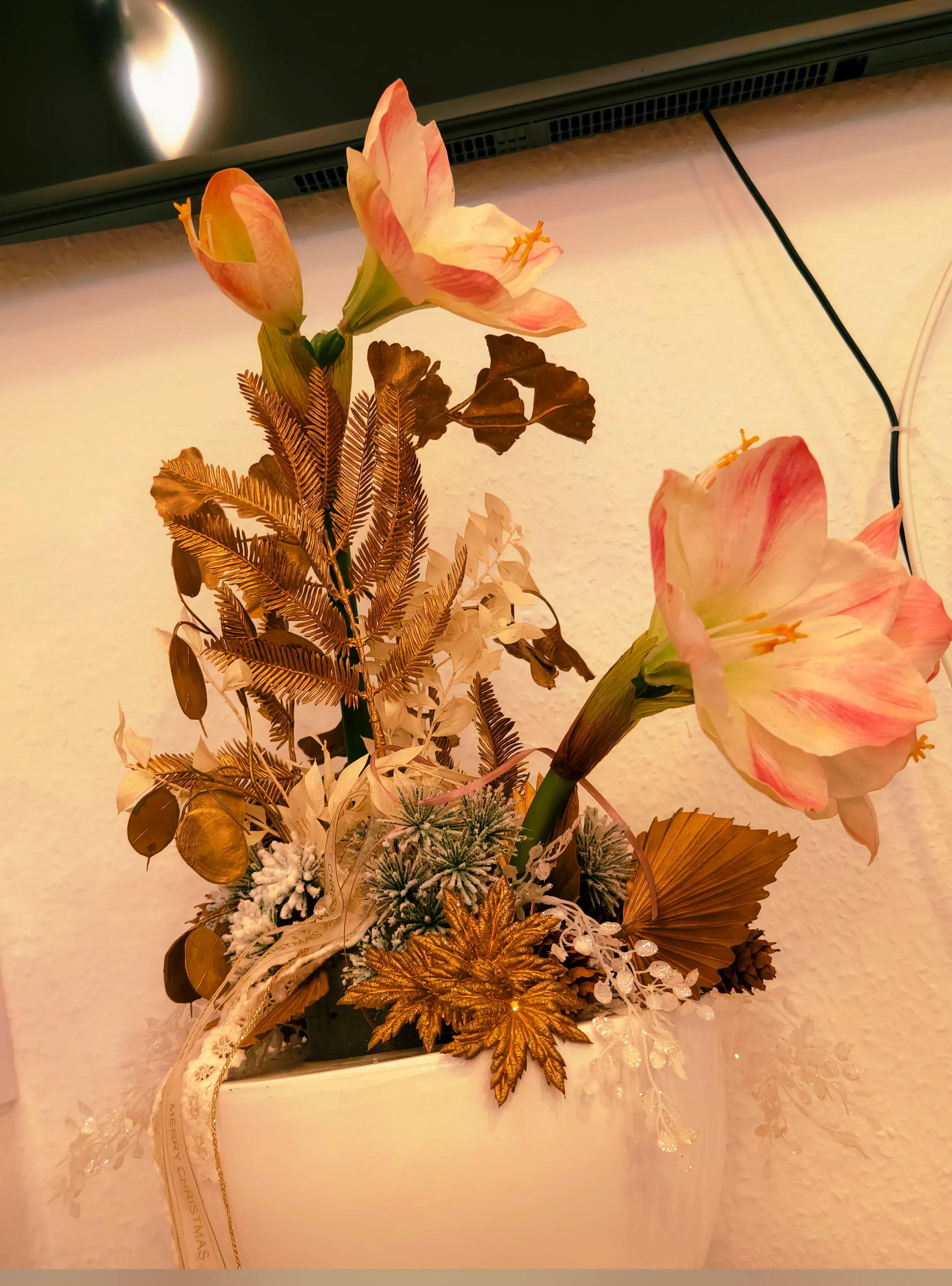 Praxis Am Salzmarkt – Wartezimmer – Wartezimmer mit komfortabler Ausstattung – Foto 14 von 15 – Osnabrück