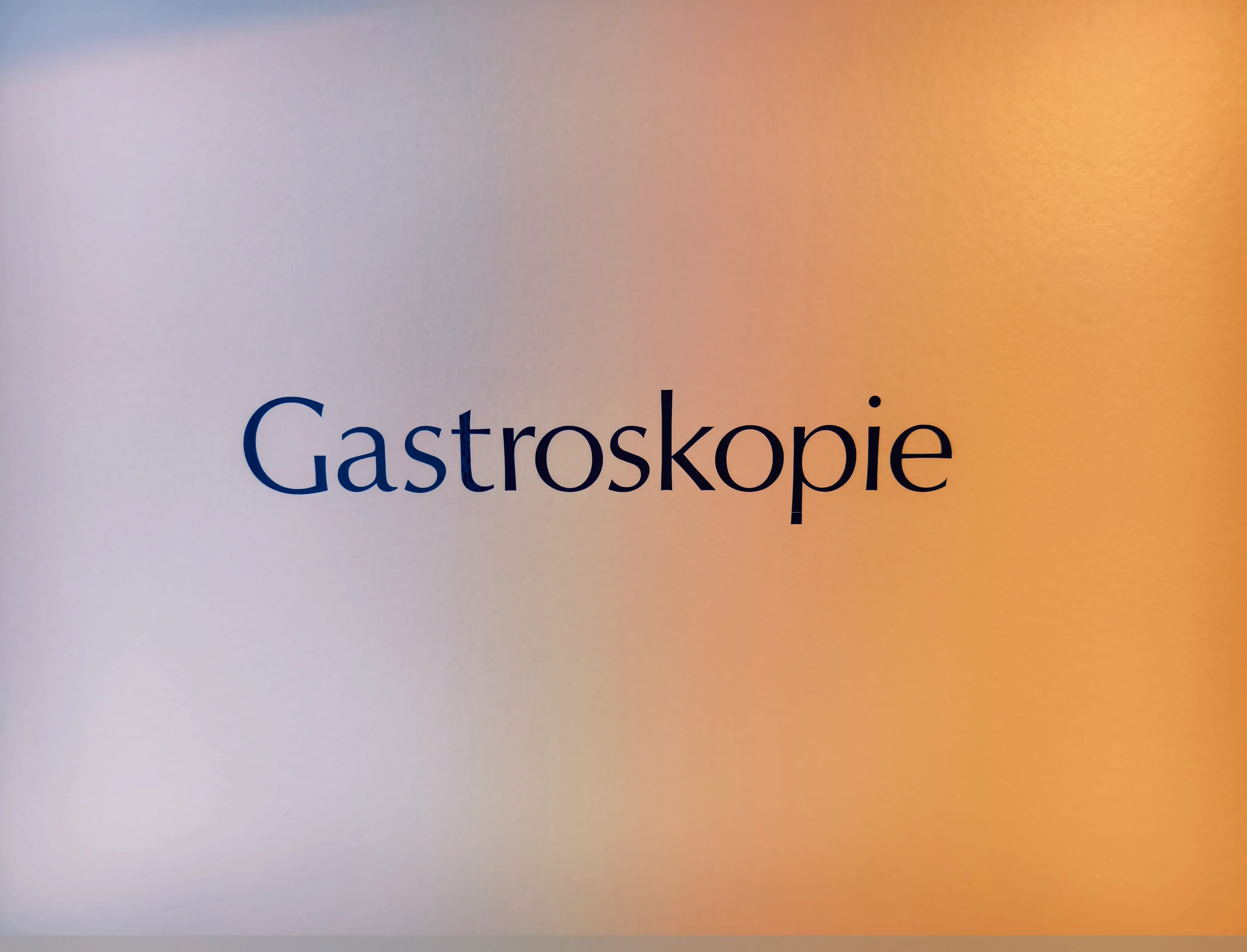 Gastroskopie