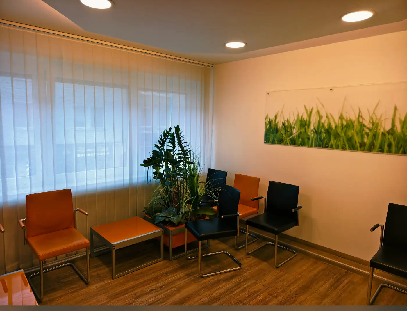 Wartezimmer mit komfortabler Ausstattung – Praxis Johannisstraße, Osnabrück – Foto 1 von 12