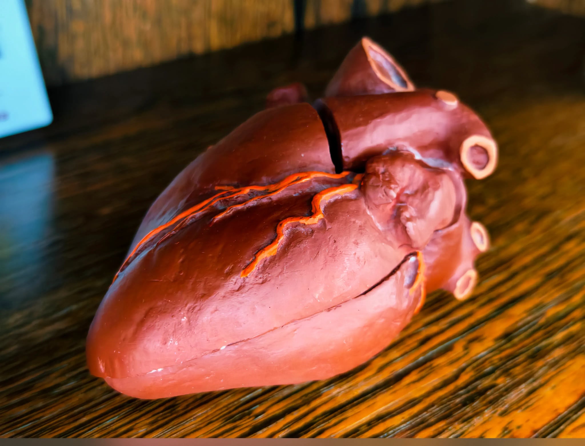 Praxisimpression 7 - Gemeinschaftspraxis Osnabrück